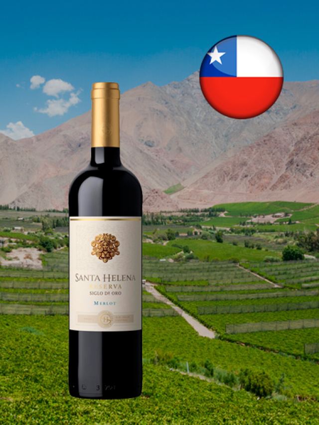 Vinho tinto chileno Santa Helena Reserva Merlot