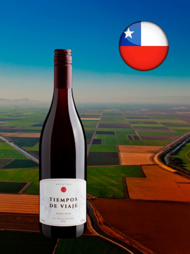 Vinho tinto chileno Tiempos de Viaje Pinot Noir Valle Central DO 2022