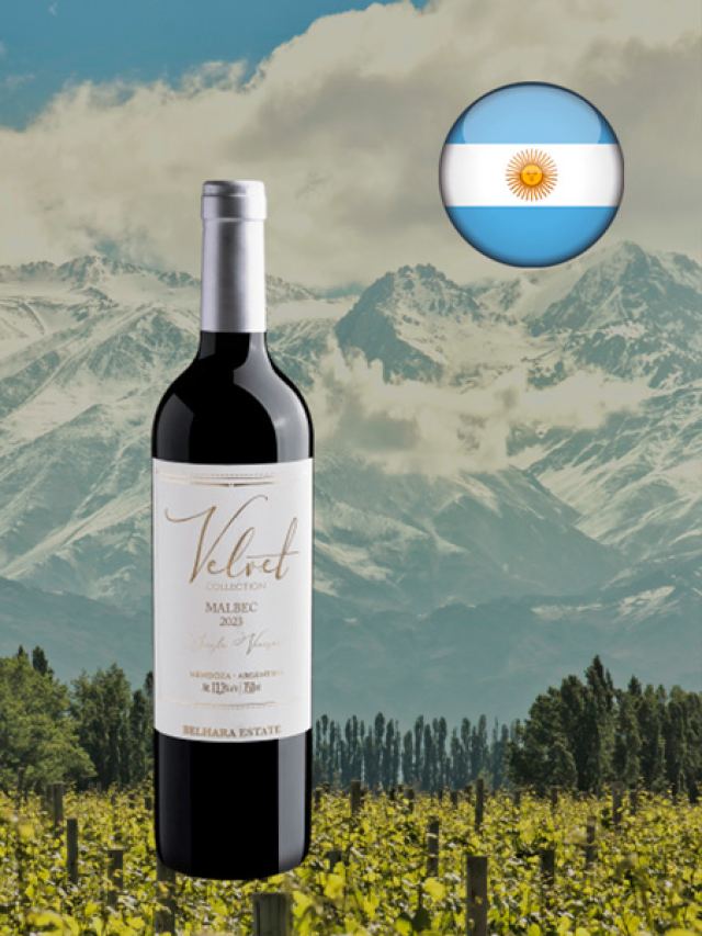 Vinho tinto argentino Velvet Collection Single Vineyard Malbec 2023