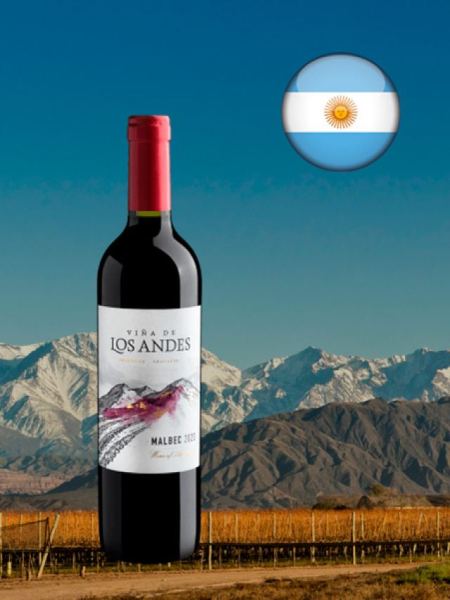 Viña de Los Andes Malbec 2023 - Oferta