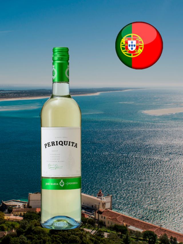 Vinho branco português Periquita Branco