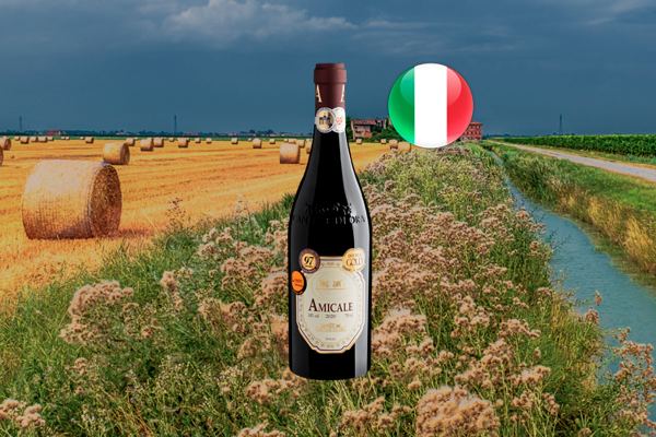 Amicale Vino Rosso Veneto IGT 2020 - Thumbnail