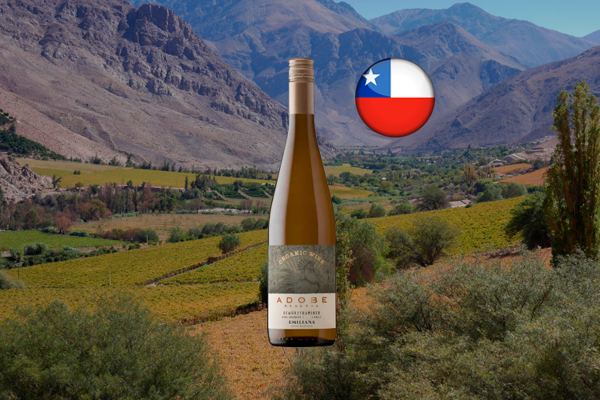 Emiliana Adobe Gewürztraminer 2021 - Thumbnail