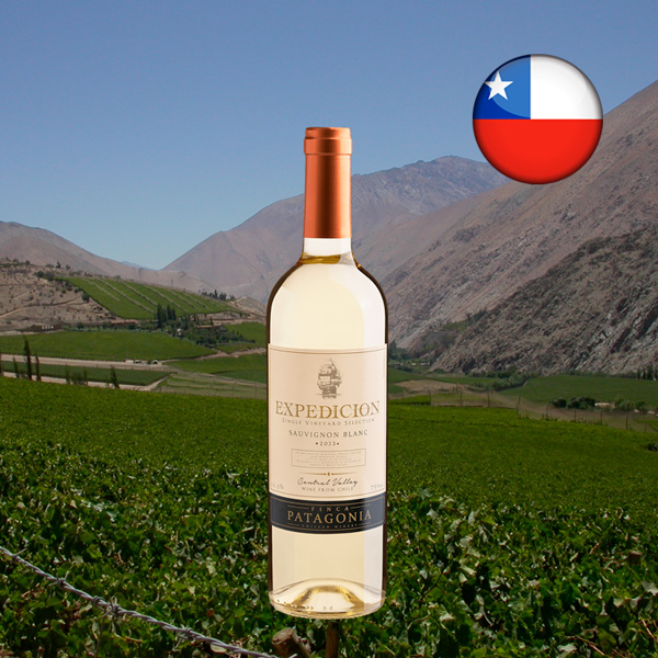 Finca Patagonia Expedicion Single Vineyard Selection Sauvignon Blanc Central Valley DO 2023 - Oferta