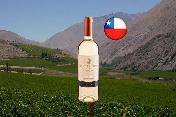 Finca Patagonia Expedicion Single Vineyard Selection Sauvignon Blanc Central Valley DO 2023 - Thumbnail