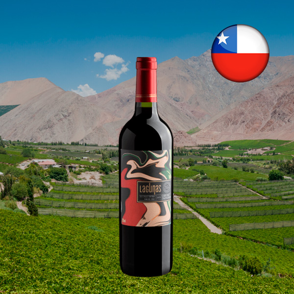 Lagunas Cabernet Sauvignon Valle Central DO 2023 - Oferta