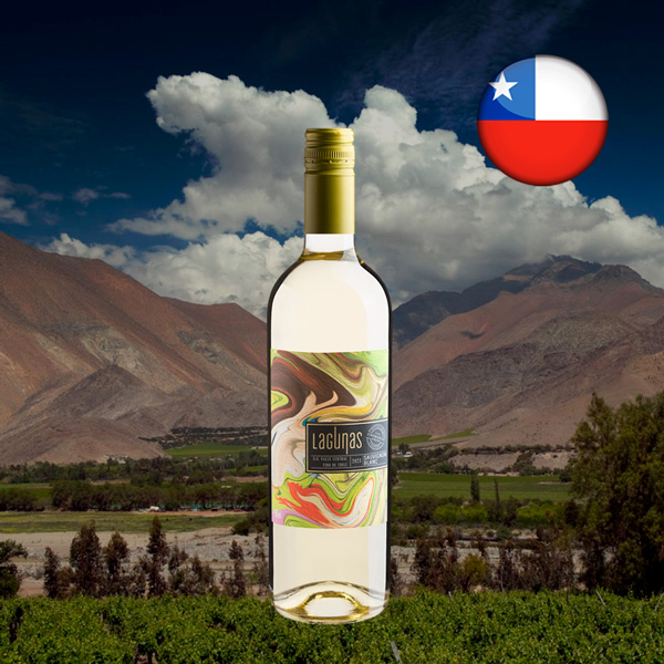 Lagunas Sauvignon Blanc Valle Central DO 2023 - Oferta