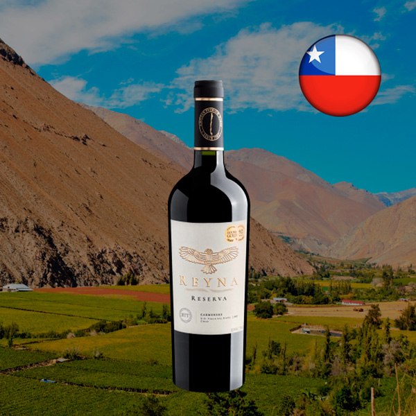 Reyna Reserva Carménère Valle del Rapel DO 2022 - Oferta