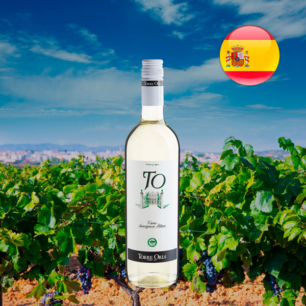 TO Viura-Sauvignon Blanc 2022 - Oferta