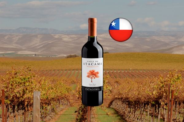 Valle de Atacama Single Vineyard Selection Vinho Tinto - Thumbnail