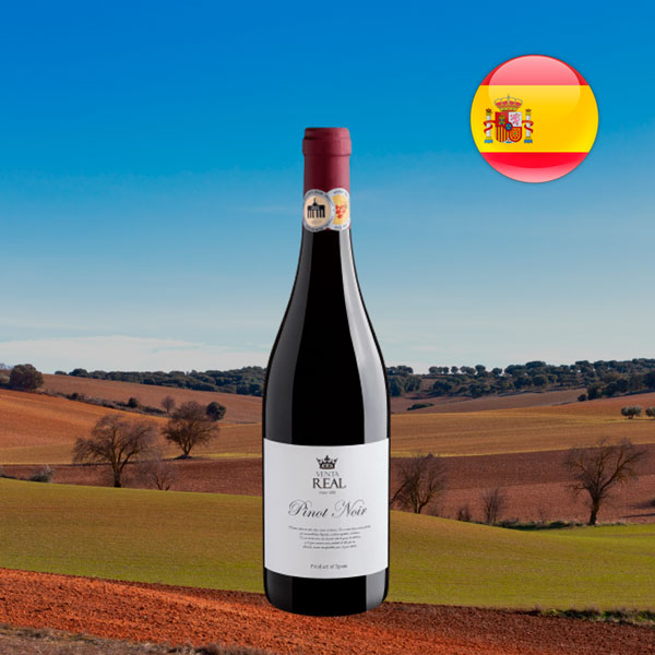 Venta Real Pinot Noir 2022 - Oferta