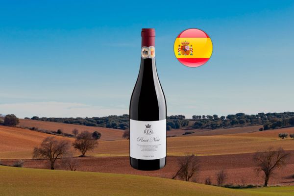 Venta Real Pinot Noir 2022 - Thumbnail