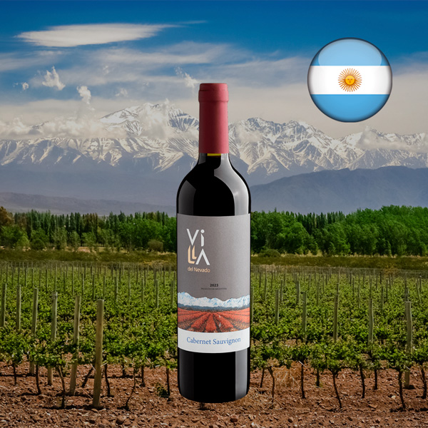 Villa del Nevado Cabernet Sauvignon 2023 - Oferta