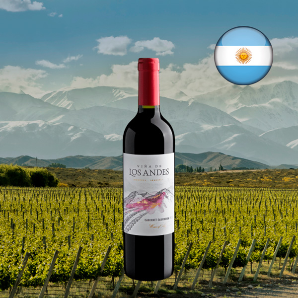 Viña de Los Andes Cabernet Sauvignon 2023 - Oferta