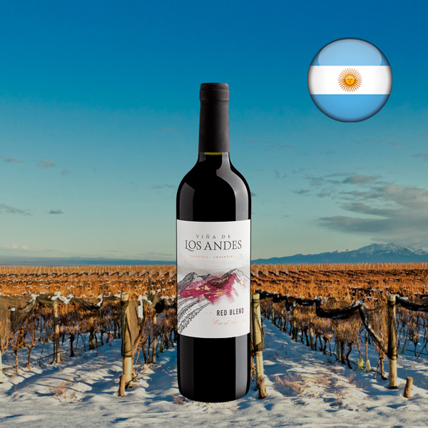 Viña de Los Andes Red Blend 2023 - Oferta