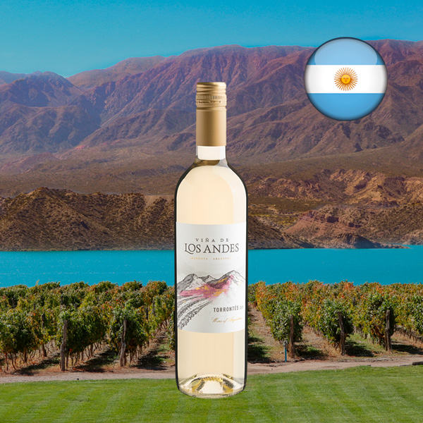 Viña de Los Andes Torrontés 2023 - Oferta