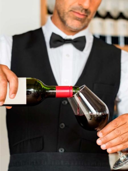 Salton, Miolo e Stella Pietro, as dicas do sommelier - Web Stories