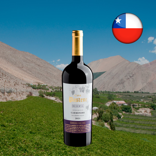 Casa Pastene Reserva Carménère Central Valley DO 2021 - Oferta