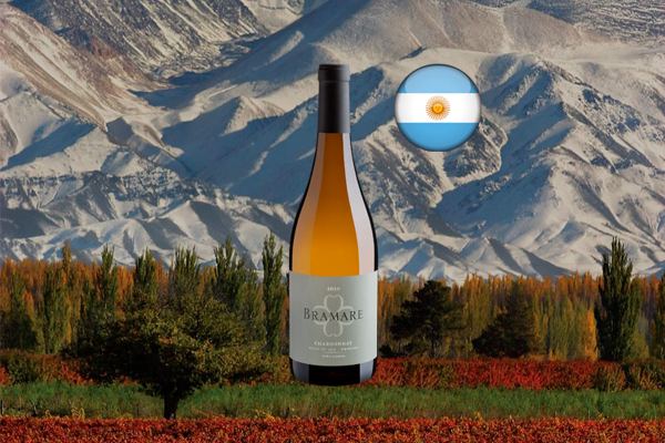 Cobos Bramare Chardonnay Valle de Uco 2020 - Thumbnail