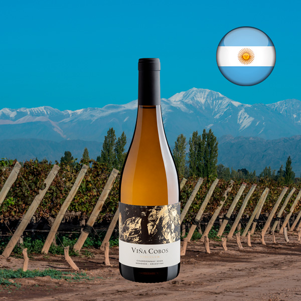 Cobos Vinculum Chardonnay 2020 - Oferta