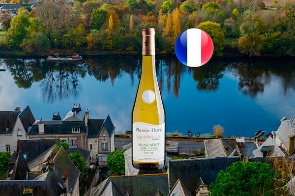 Plessis-Duval Muscadet Sur Lie Sèvre et Maine AOP 2022 - Thumbnail