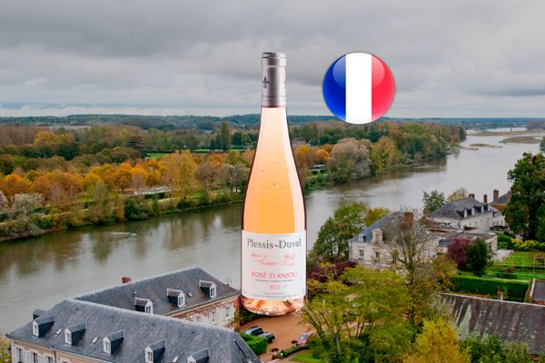 Plessis-Duval Rosé D'Anjou AOP 2022 - Thumbnail