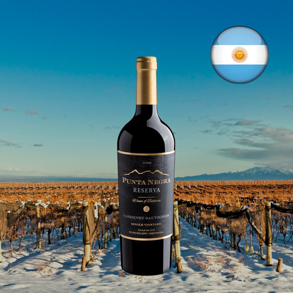 Punta Negra Reserva Cabernet Sauvignon Single Vineyard 2022 - Oferta