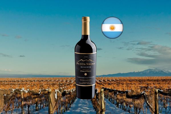 Punta Negra Reserva Cabernet Sauvignon Single Vineyard 2022 - Thumbnail