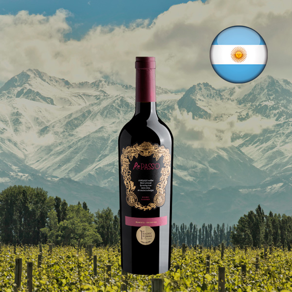 Repasso Malbec 2021 - Oferta