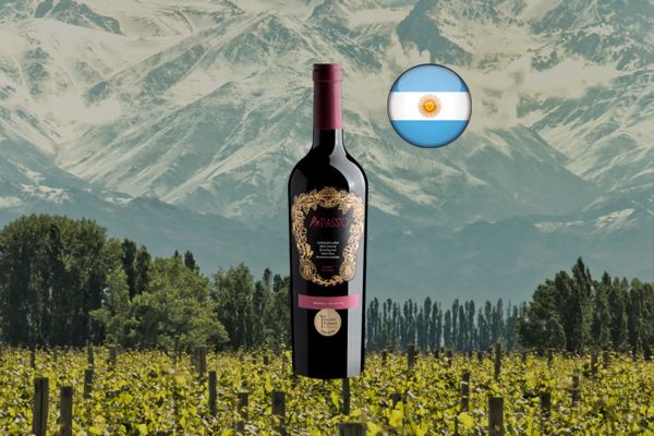 Repasso Malbec 2021 - Thumbnail