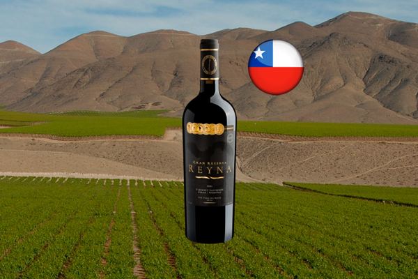 Reyna Gran Reserva Cabernet Sauvignon Syrah Nebbiolo Valle del Maule DO 2021 - Thumbnail