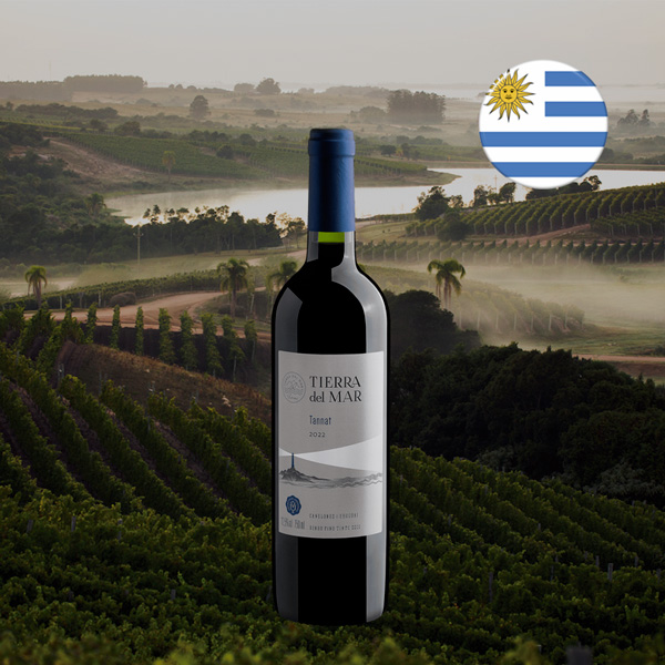 Tierra del Mar Tannat 2022 - Oferta