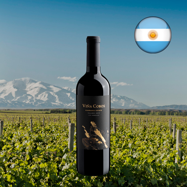 Viña Cobos Chañares Estate Malbec 2019 - Oferta