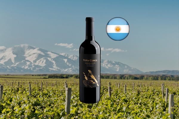 Viña Cobos Chañares Estate Malbec 2019 - Thumbnail