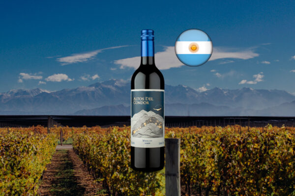 Altos Del Condor Merlot 2023 - Thumbnail