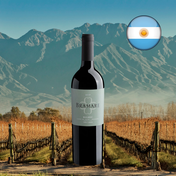 Cobos Bramare Malbec Lujan de Cuyo 2020 - Oferta