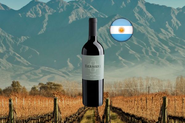 Cobos Bramare Malbec Lujan de Cuyo 2020 - Thumbnail