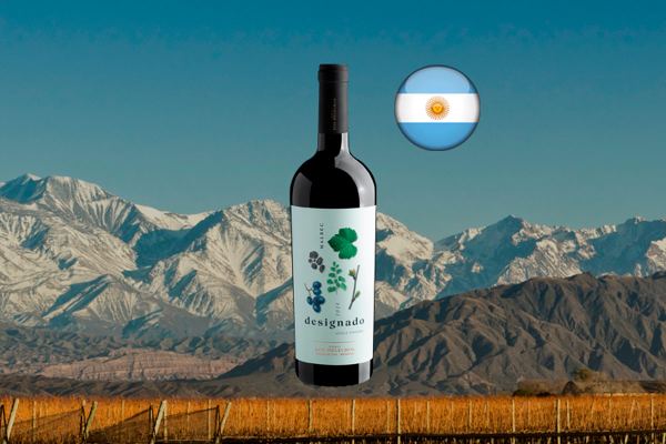 Designado Single Vineyard Malbec 2020 - Thumbnail