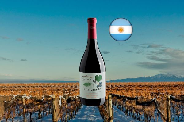 Designado Single Vineyard Pinot Noir Vistaflores 2020 - Thumbnail