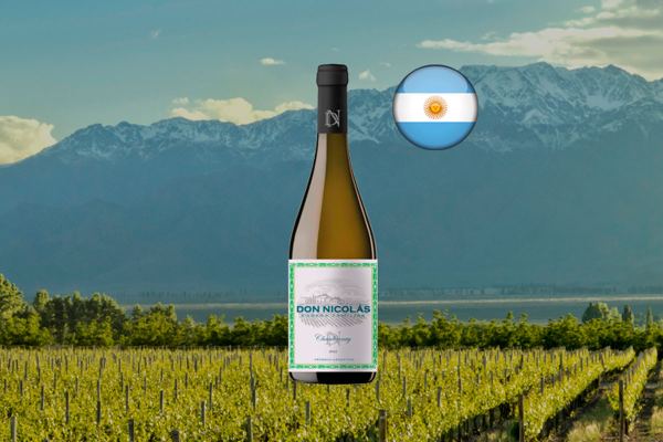 Don Nicolás Chardonnay 2022 - Thumbnail