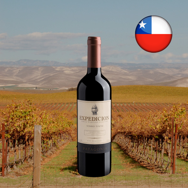 Finca Patagonia Expedicion Single Vineyard Selection Vinho Tinto 2022 - Oferta