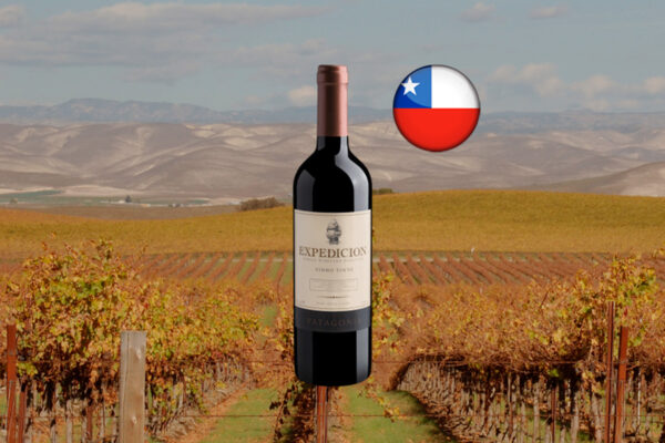 Finca Patagonia Expedicion Single Vineyard Selection Vinho Tinto 2022 - Thumbnail