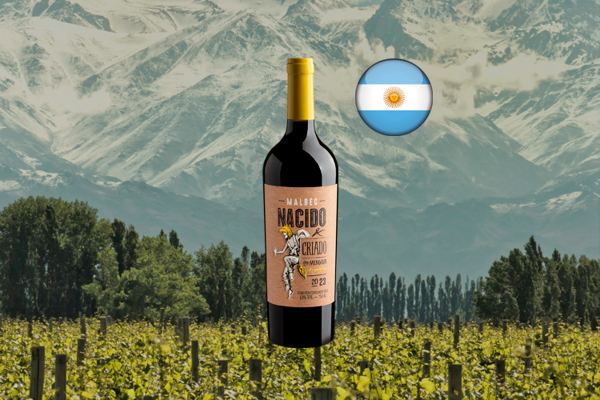 Malbec Nacido y Criado en Mendoza 2023 - Thumbnail