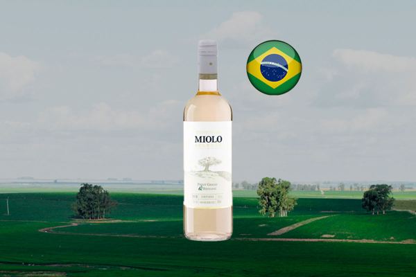 Miolo Seleção Pinot Grigio Riesling 2018 - Thumbnail