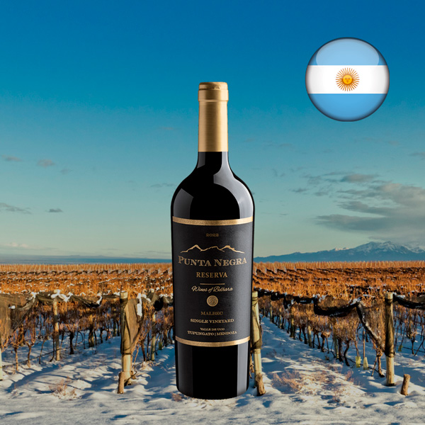 Punta Negra Reserva Malbec Single Vineyard 2022 - Oferta