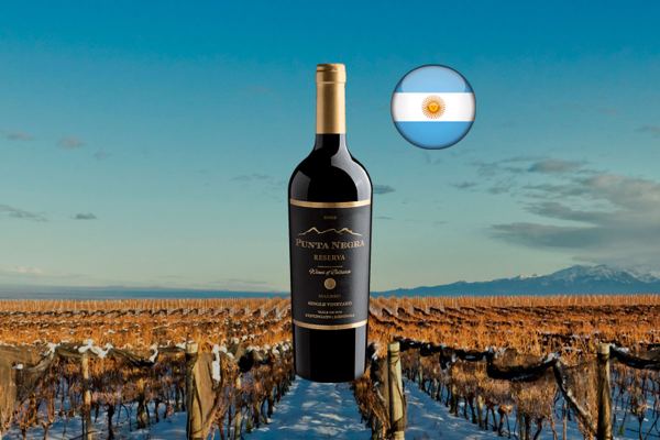 Punta Negra Reserva Malbec Single Vineyard 2022 - Thumbnail