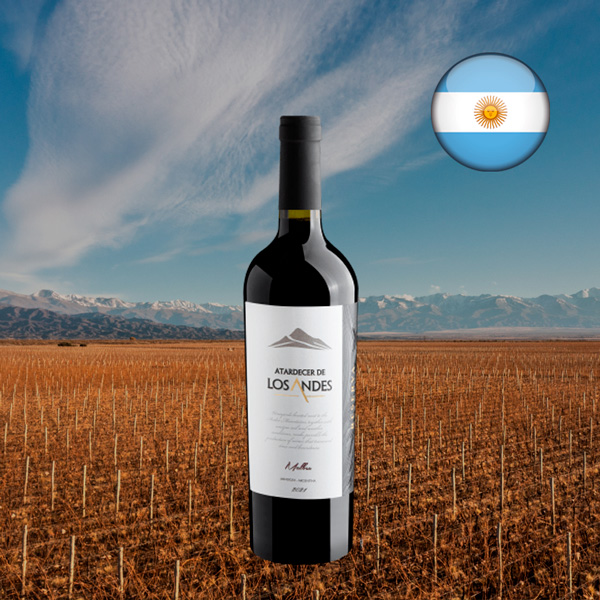 Atardecer de Los Andes Malbec Reserva 2021 - Oferta