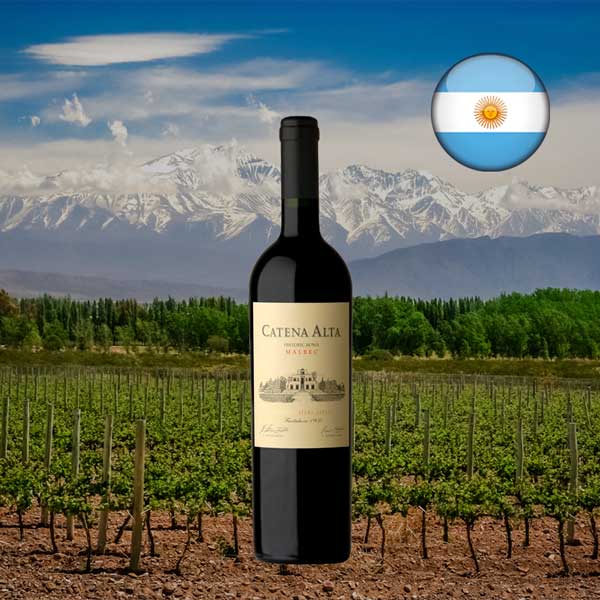 Catena Malbec 2019 - Oferta