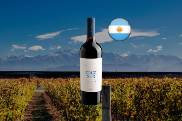 Cruz Del Sur Malbec Reserva 2021 - Thumbnail