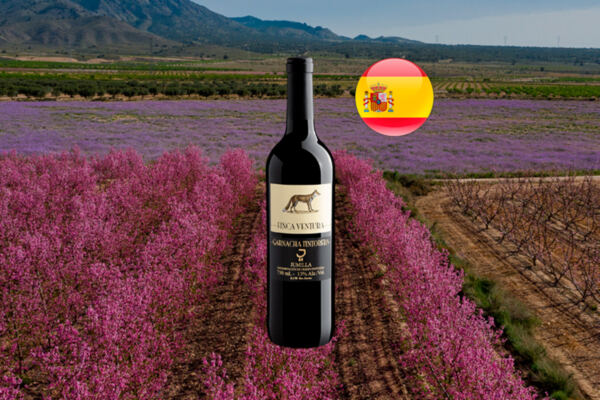 Finca Ventura Garnacha Tintorera Jumilla DOP 2022 - Thumbnail